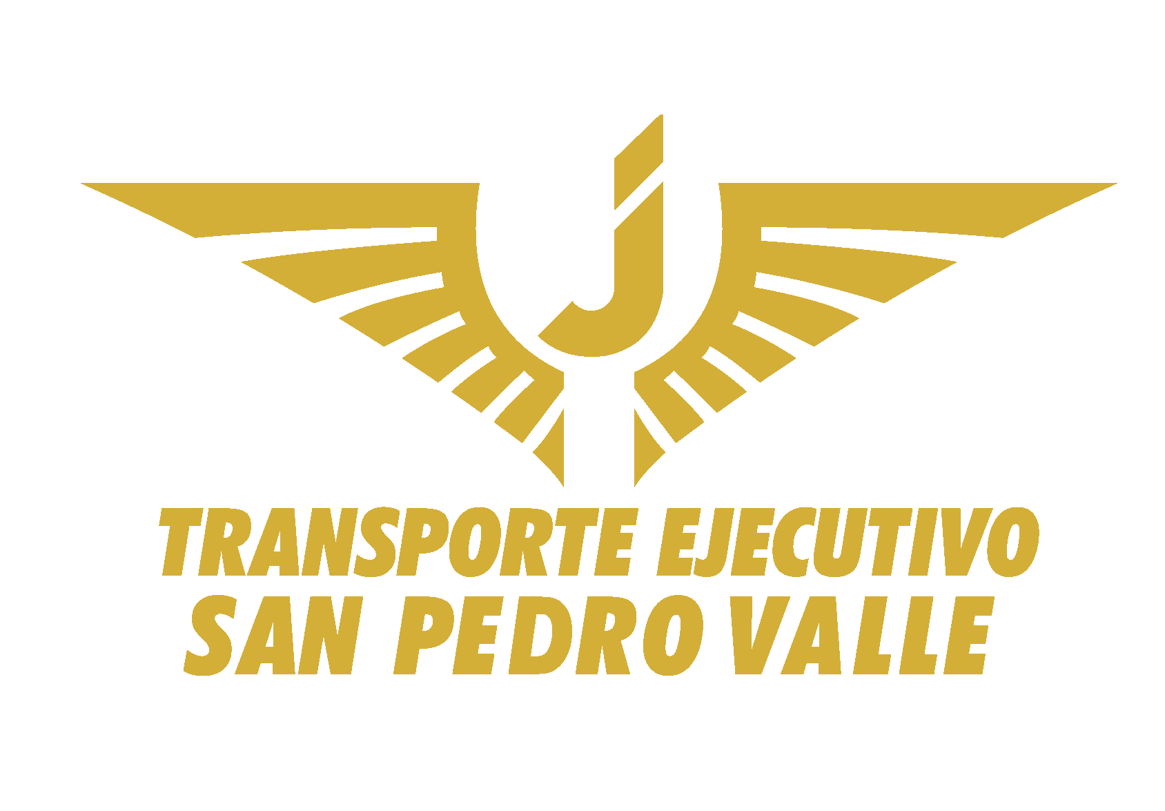 Transporte Ejecutivo San Pedro Valle